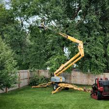 Best Leaf Removal  in Waverly, VA
