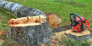 Best Commercial Tree Services  in Waverly, VA