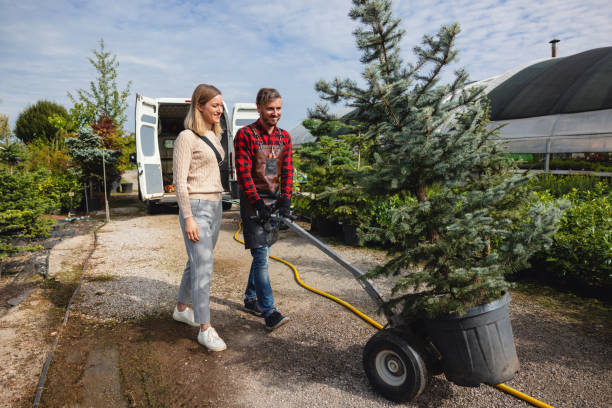 Best Lawn Dethatching  in Waverly, VA