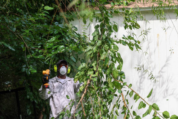 Best Arborist Consultation Services  in Waverly, VA